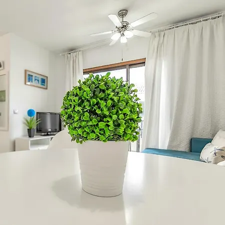 Parque Don Jose With Amazing Pool Apartment *